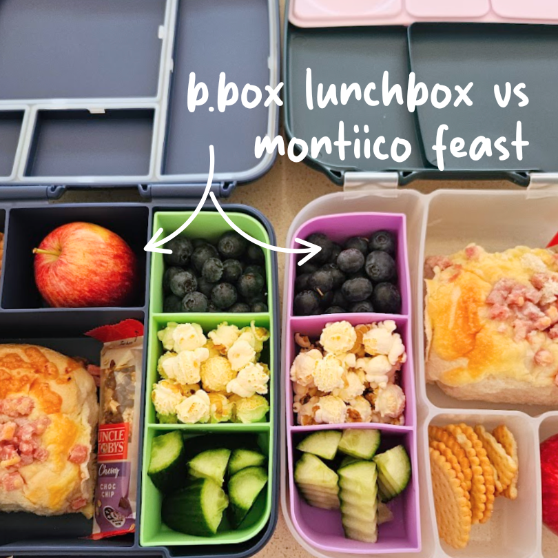 b.box Lunchbox vs MontiiCo Feast Lunchbox | Comparison Video Tour