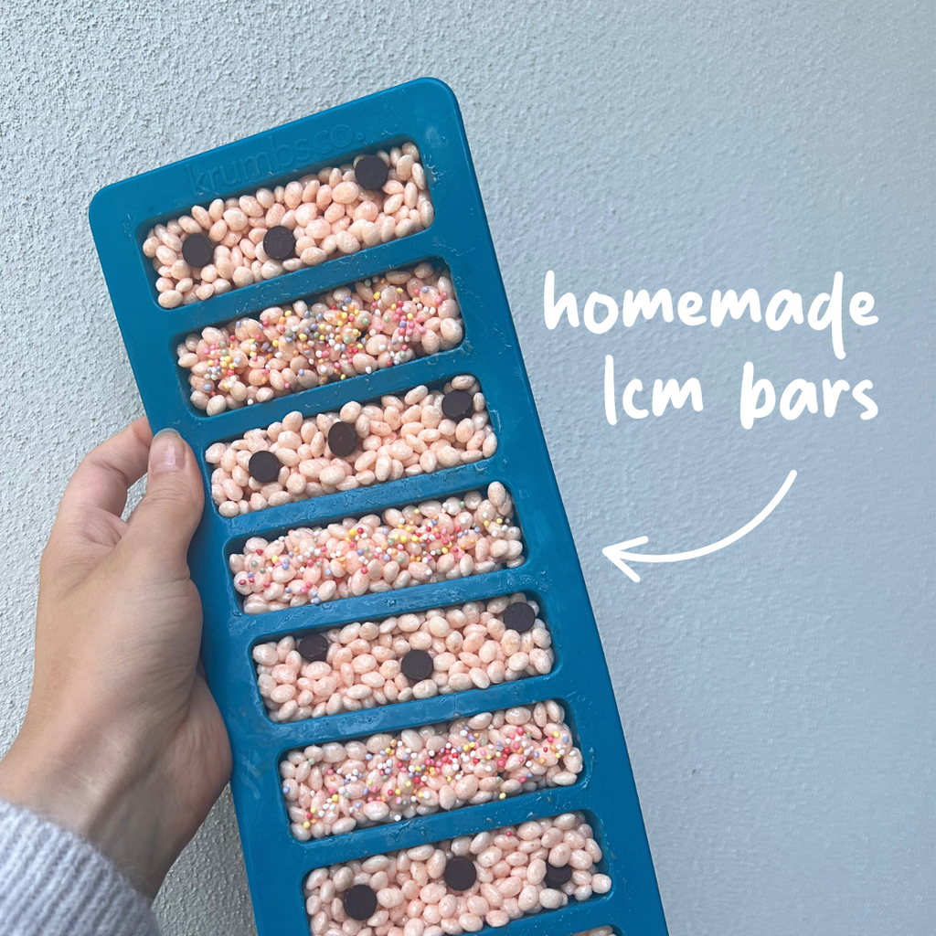 Homemade LCM Bars | The 3-Ingredient Snack Kids Love