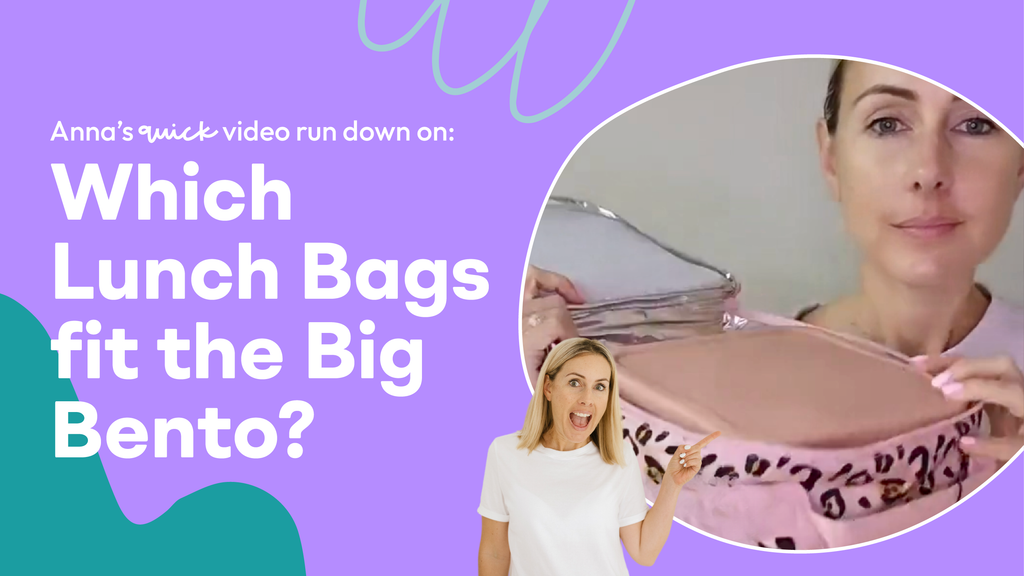Lunch Bags That Fit the Big Bento Lunchbox | Quick Video Run-Down