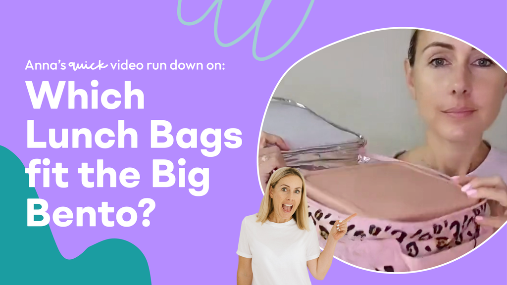 lunch bags that fit the big bento lunchbox | quick video run-down