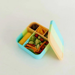 The Zero Waste People BIG Bento Lunchbox - Splice