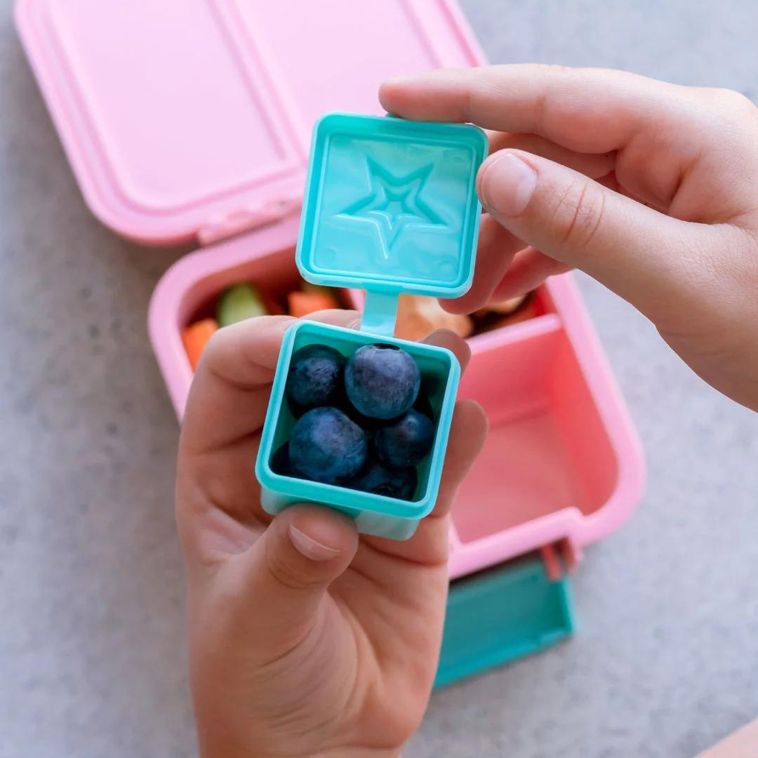 Bento Surprise Boxes - Stars - Iced Berry