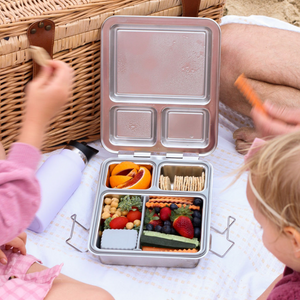 Little Lunchbox Co Bento Stainless Maxi