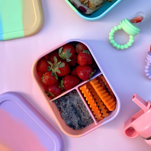 The Zero Waste People Bento Snack Box - Paddle Pop