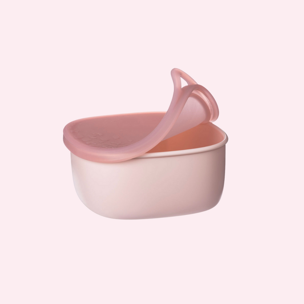 b.box Lunch Tub - Berry – Lunchbox Mini
