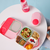 b.box Lunchbox - Flamingo Fizz - PRE-ORDERS OPEN